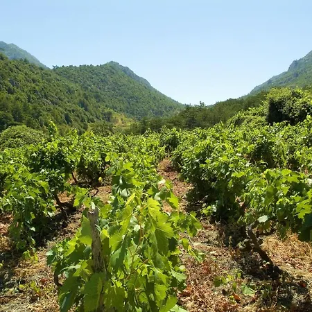 In Karbuni With Sea View, Terrace, Air Conditioning, W-lan 3609-2 Apartment Blato (Korcula)