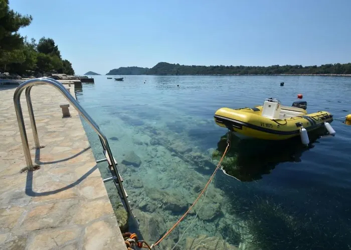 In Karbuni With Sea View, Terrace, Air Conditioning, W-lan 3609-2 *