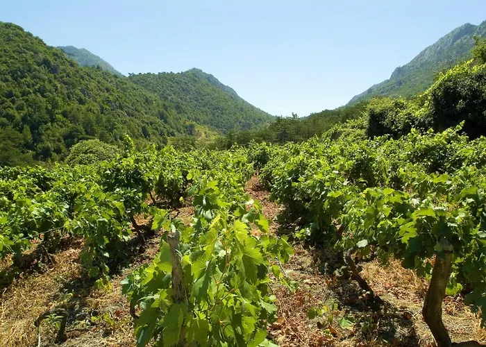 In Karbuni With Sea View, Terrace, Air Conditioning, W-lan 3609-2 아파트 Blato (Korcula)